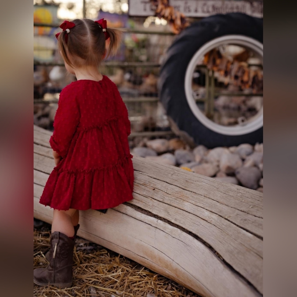 Pippa & Julie Clip Dot  Burgundy Dress, 18 months - Picture 4 of 5